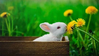 九游体育网站-《电竞持续升温：城市体育公共设施加入电竞元素》，电竞纳入体育项目